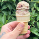 Spumoni